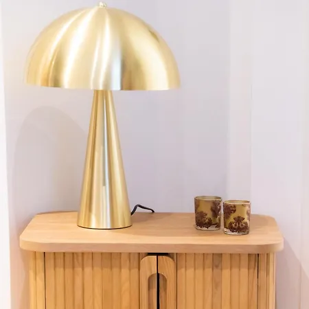 Apartamento De Charme Renovee Pres De L Opera De Lyon